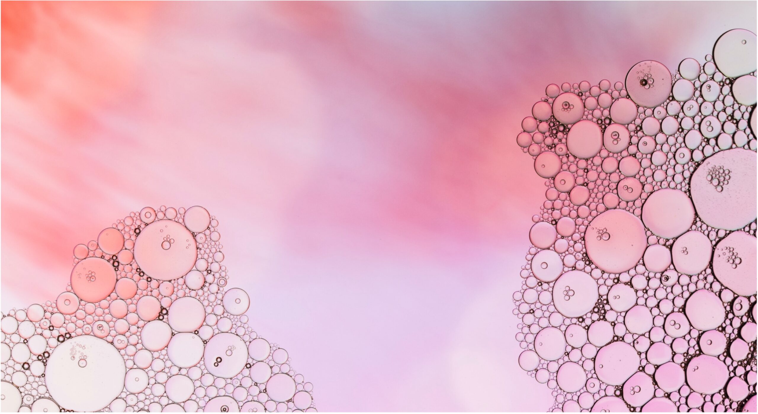 Abstrakte Darstellung von Hautzellen zum IPE Working Paper über gesundheitsökonomische Modelle bei atopischer Dermatitis